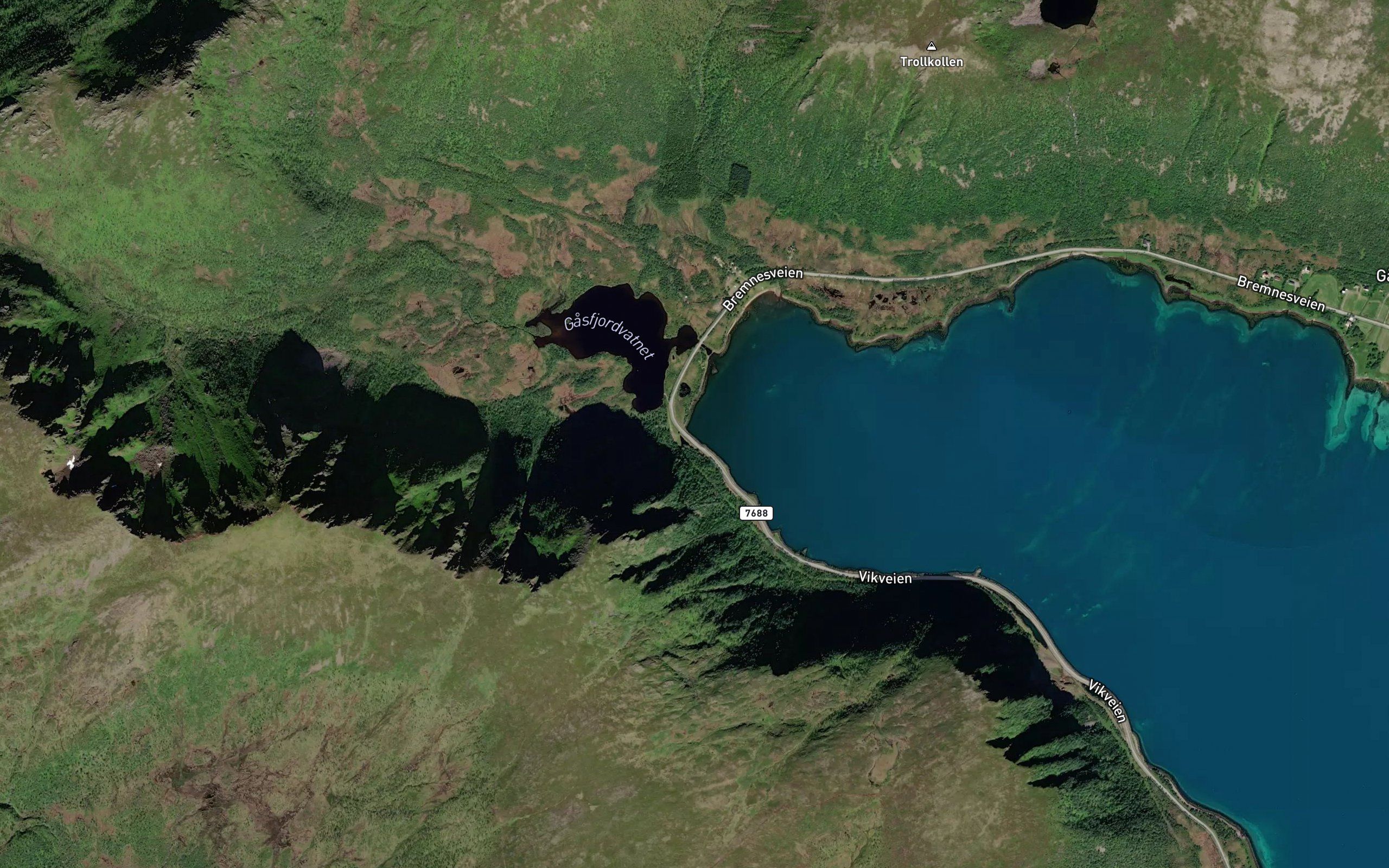Kolvika