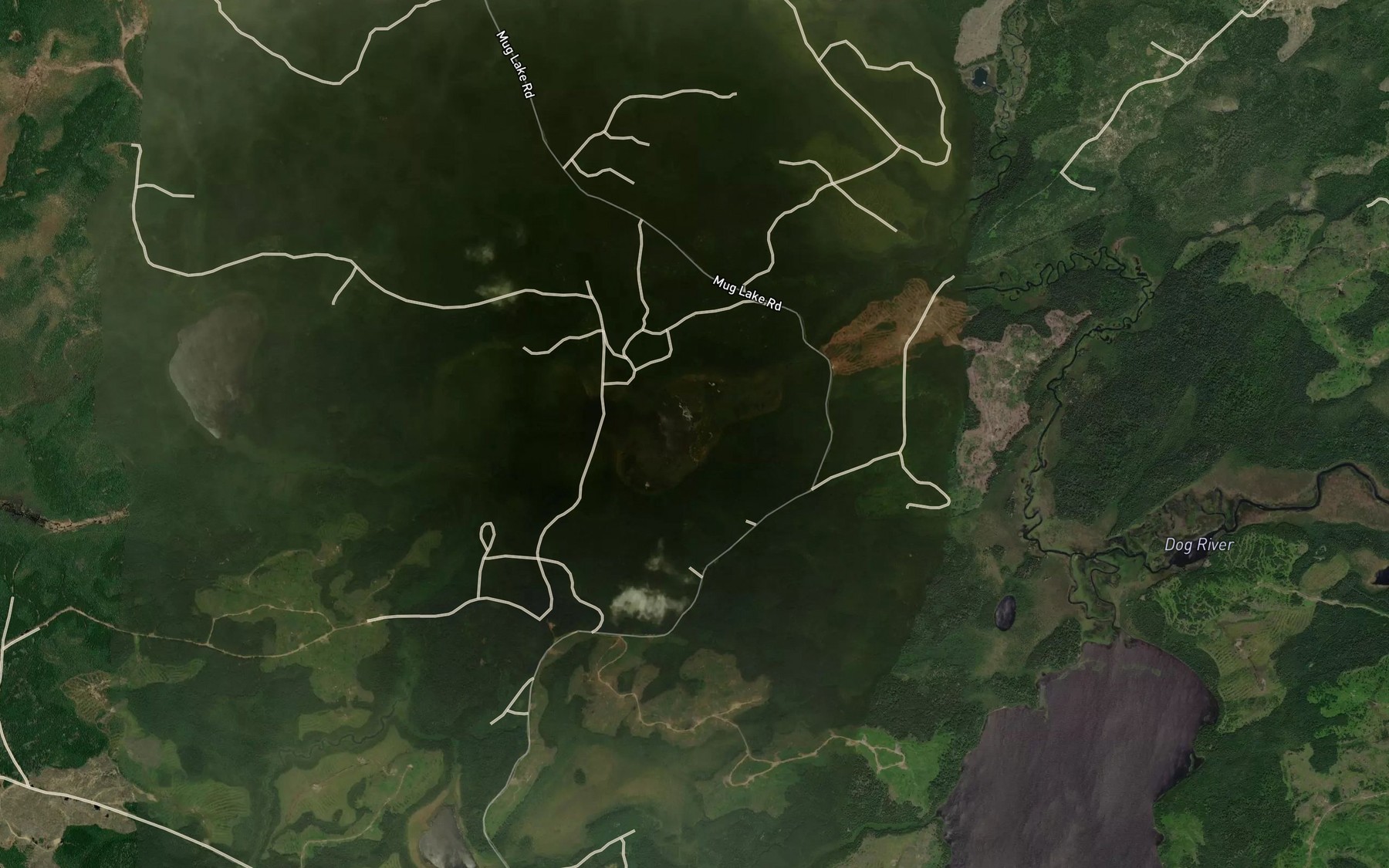 Satellite map of the Dolores Lake