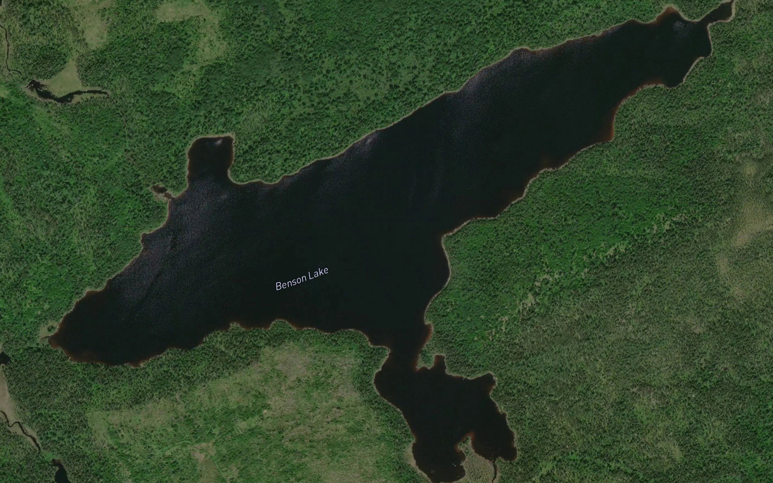 Benson Lake