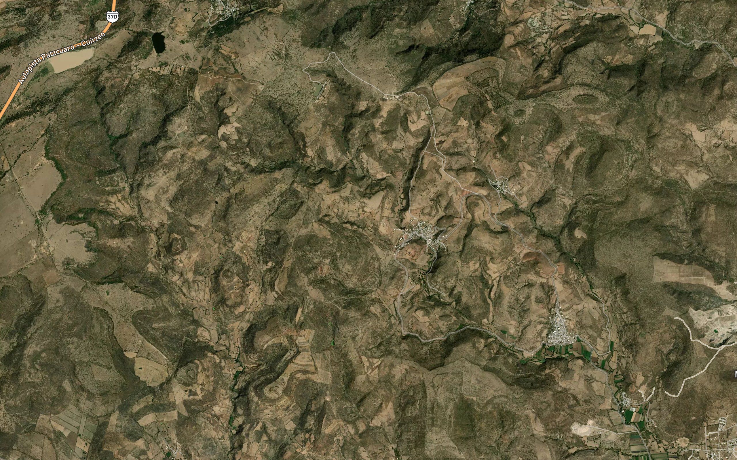 El Palmito