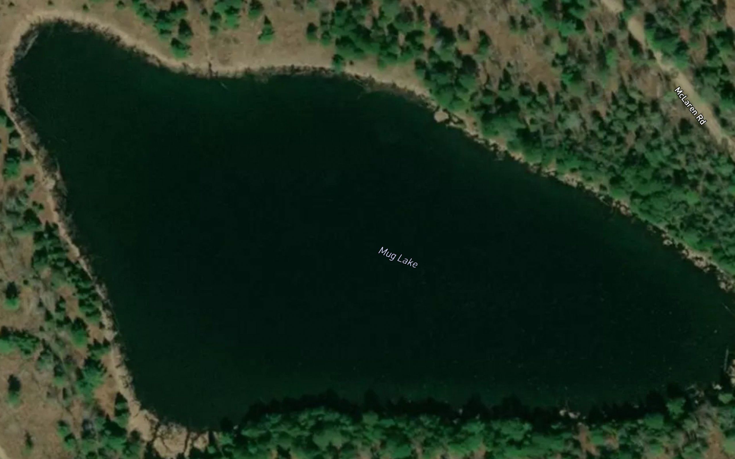 Mug Lake