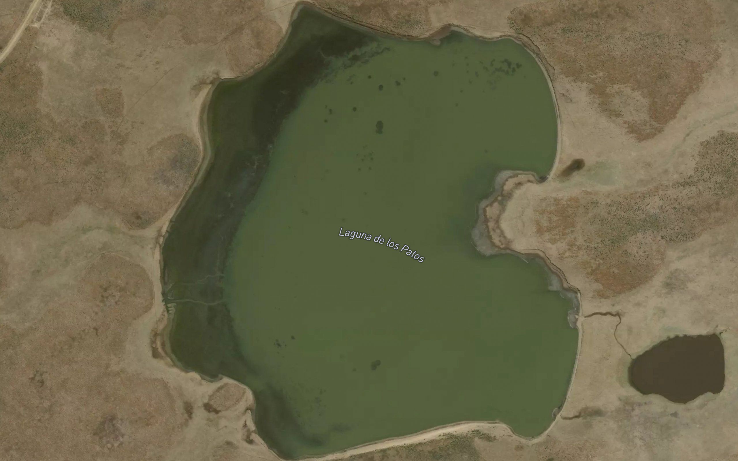 Laguna de los Patos