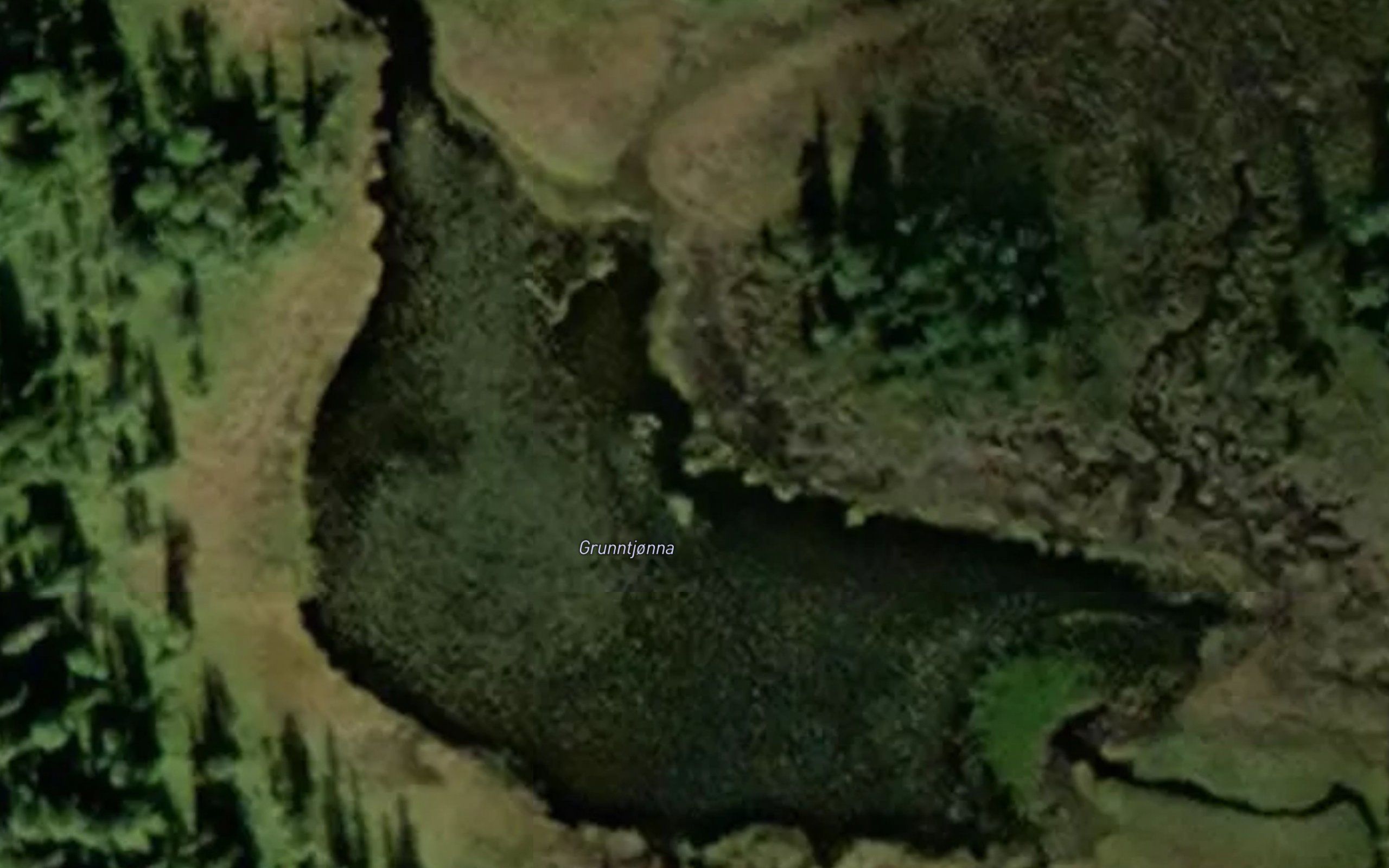 Grunntjorna