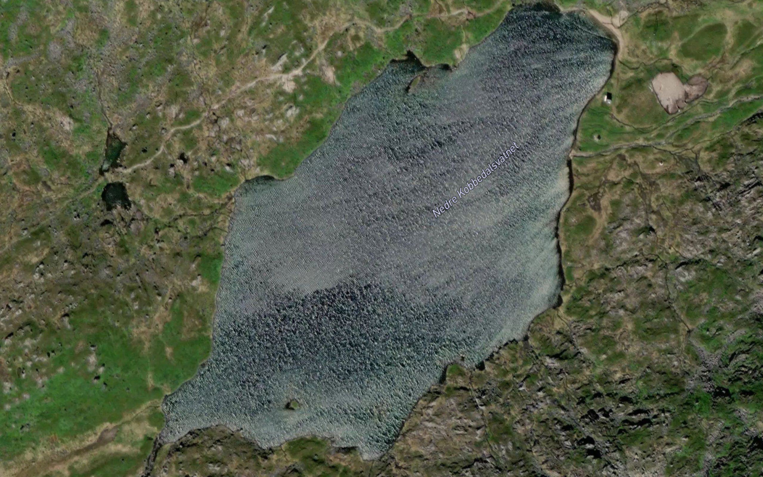 Nedre Kobbedalsvatnet