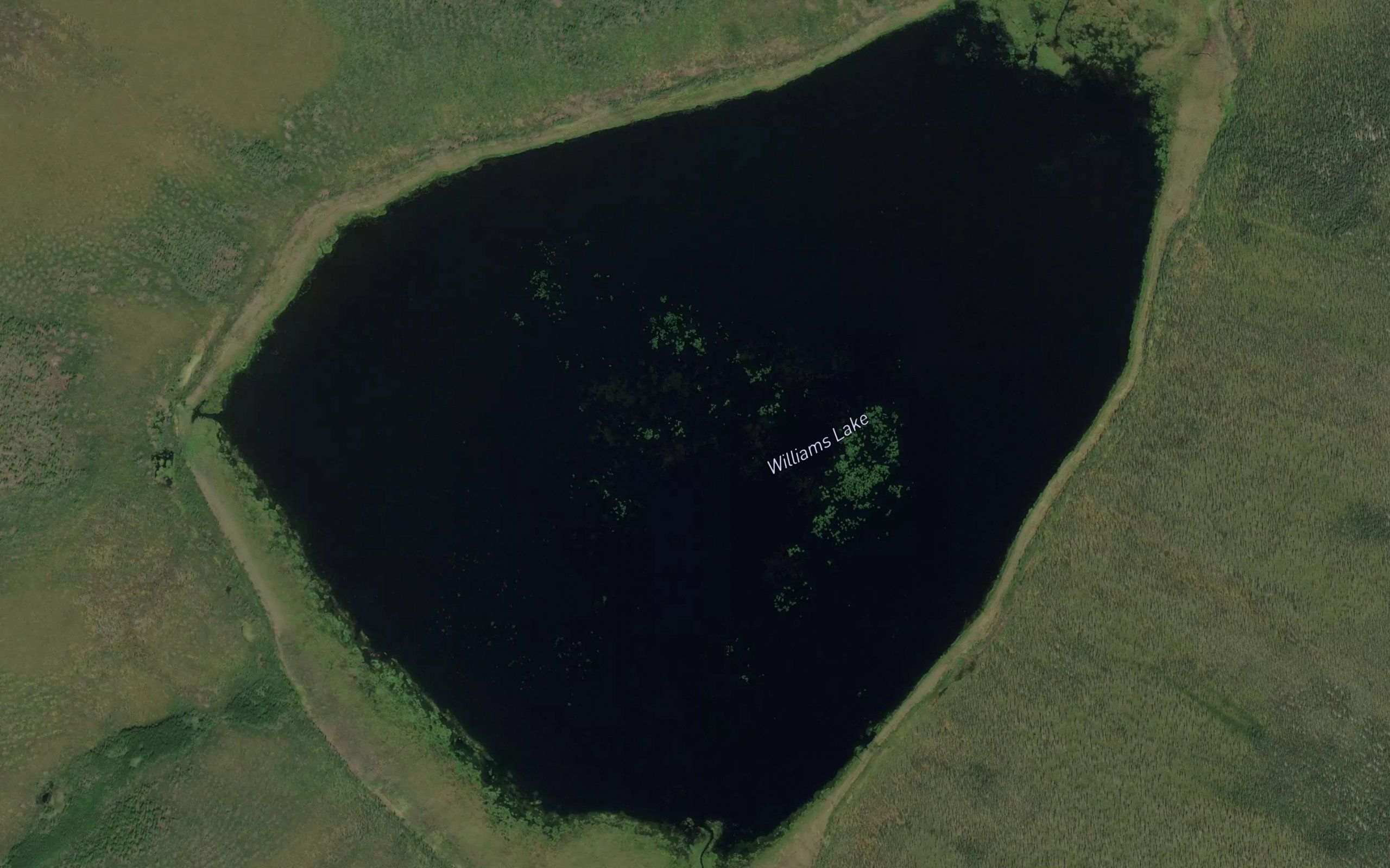 Williams Lake
