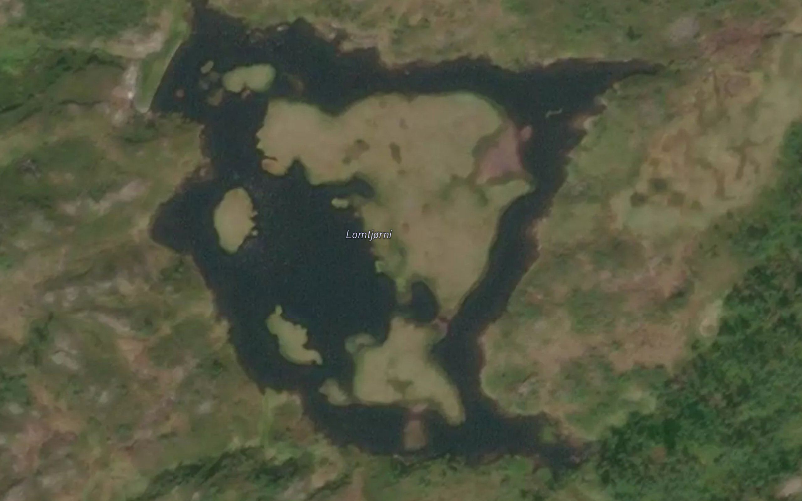 Lomtjernene