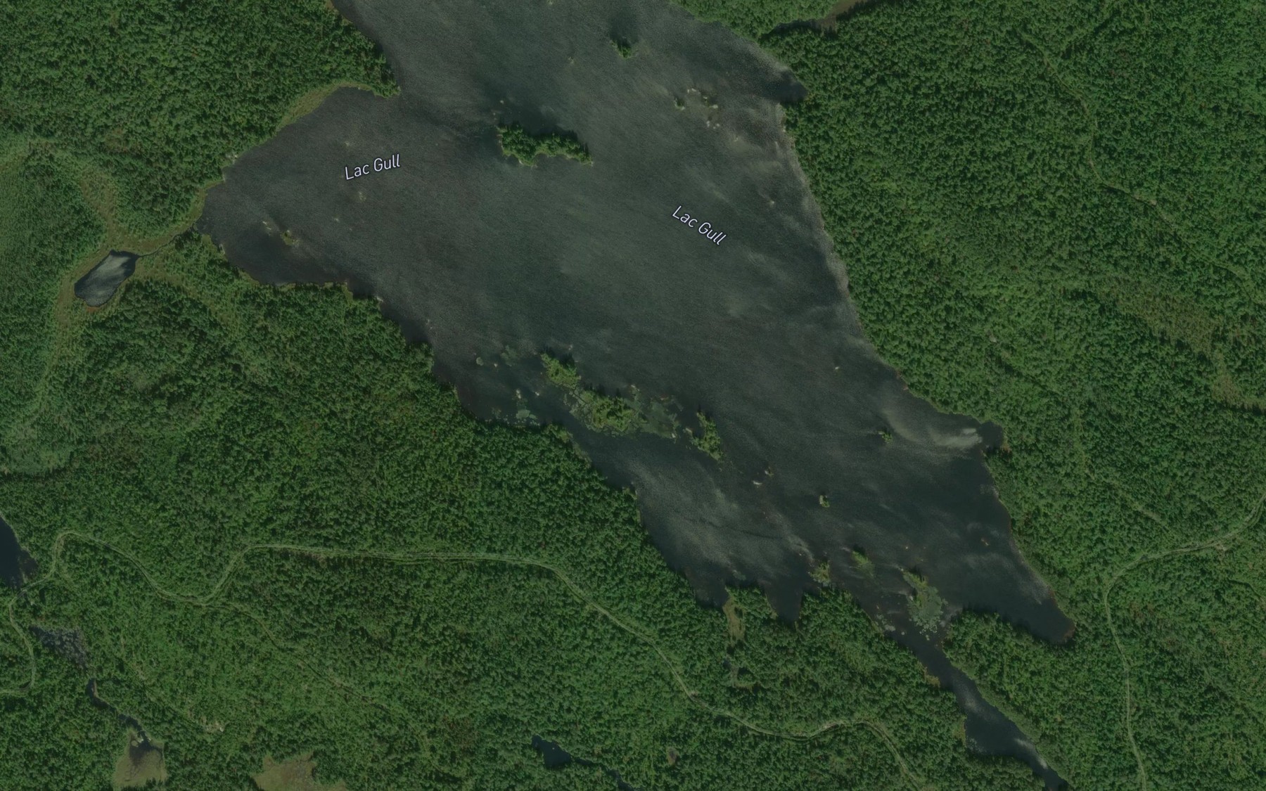 Satellite map of the Lac Gull