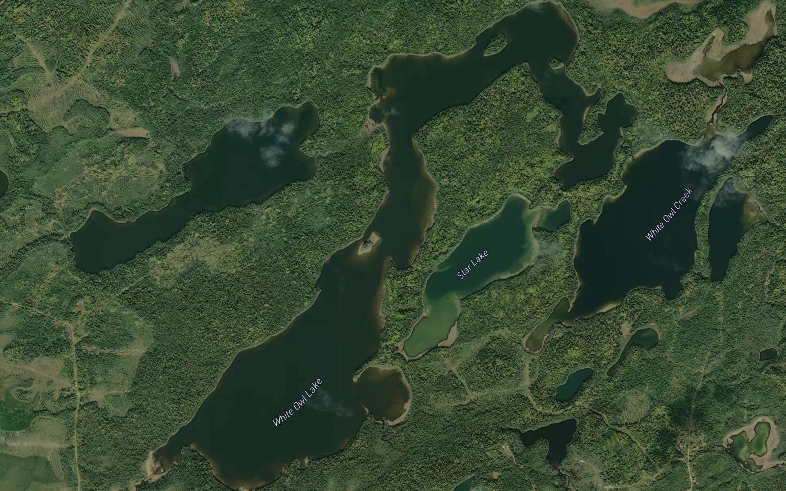 White Owl Lake