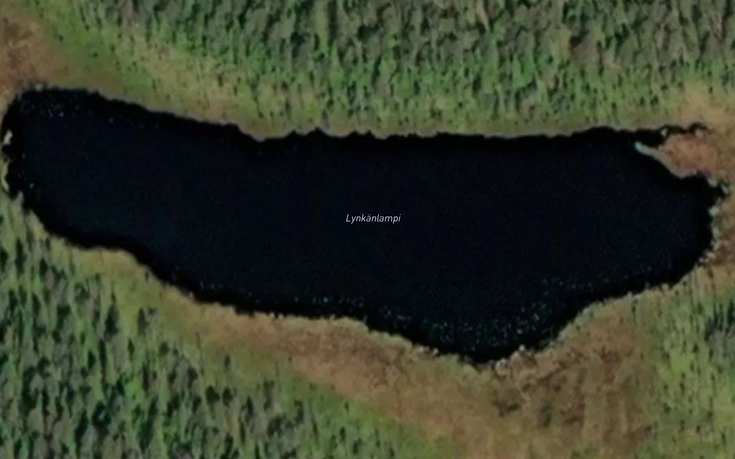Lynkanlampi