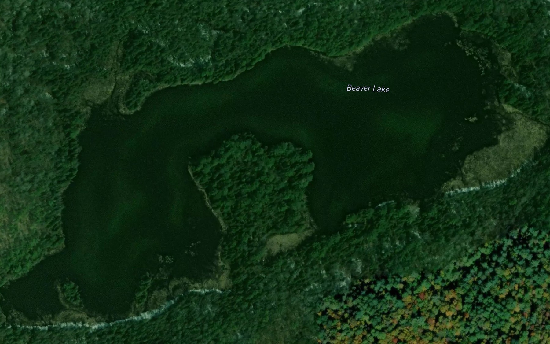 Satellite map of the Beaver Lake