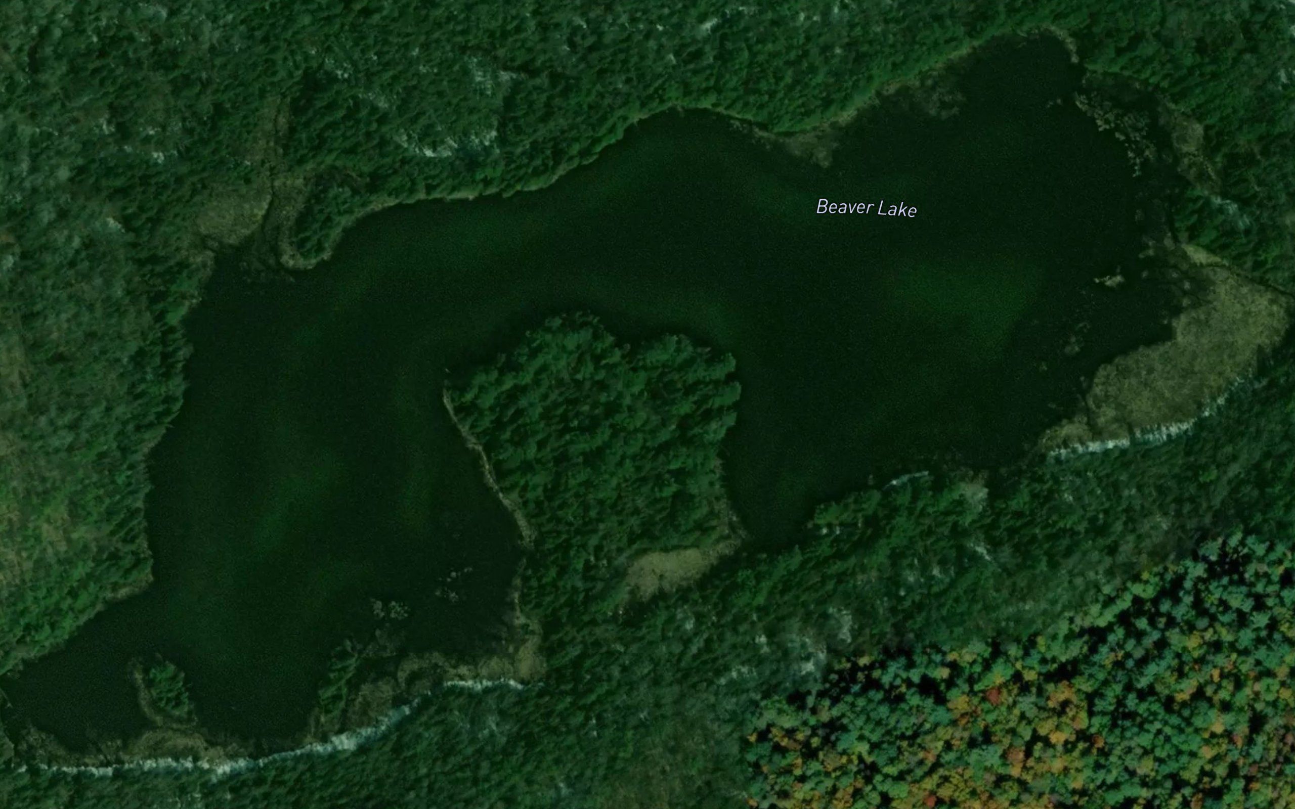 Beaver Lake