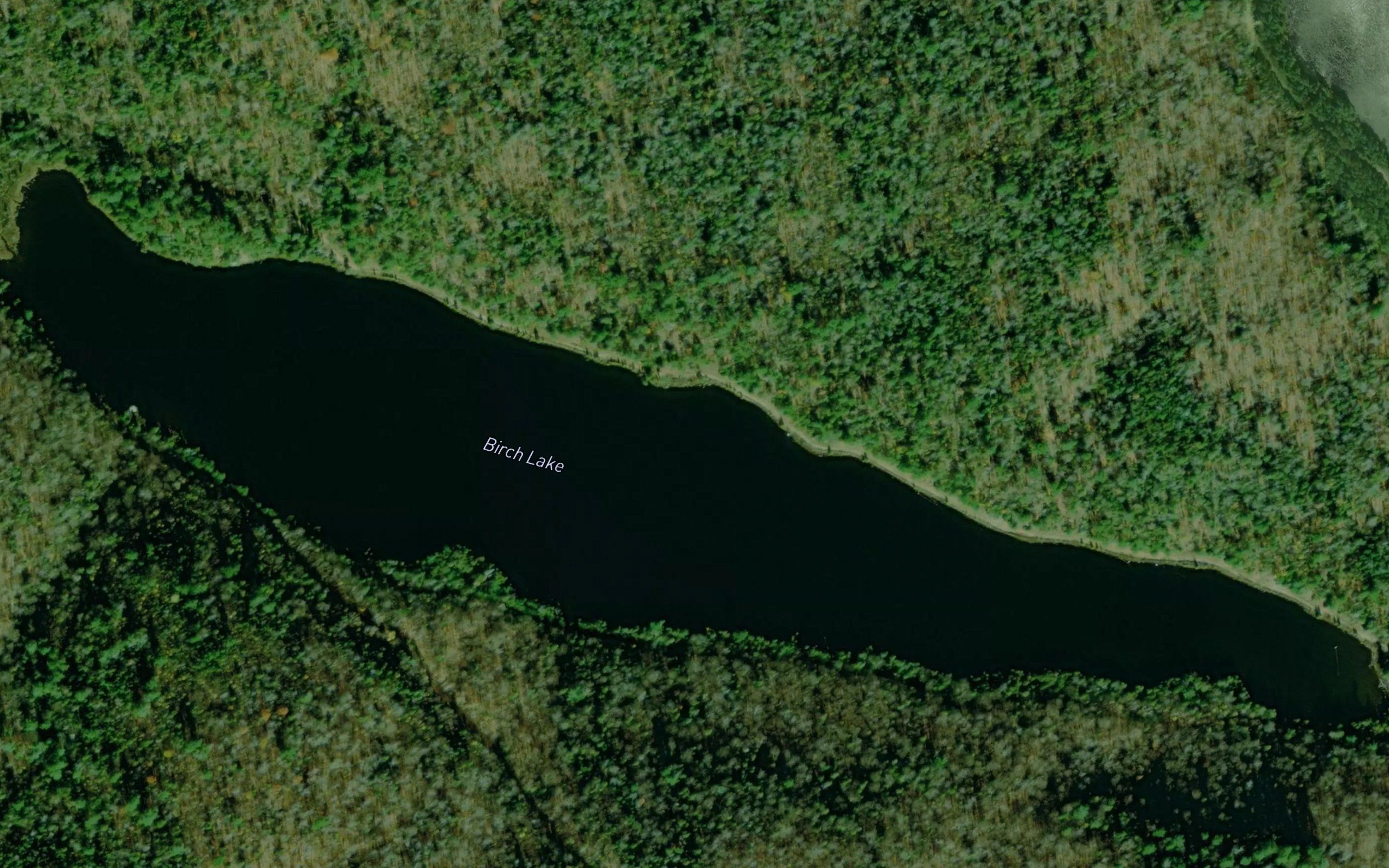 Birch Lake