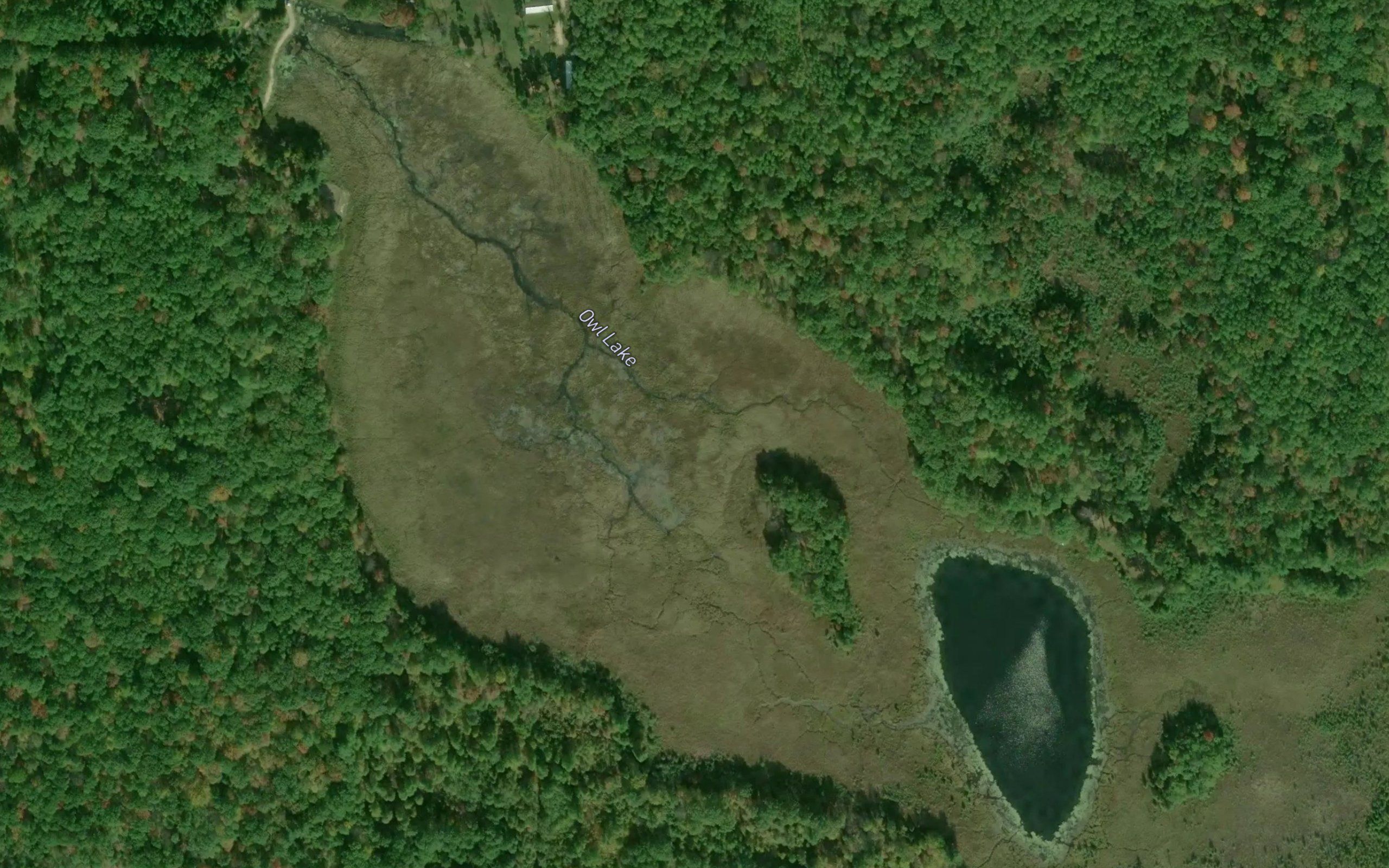 Owl Lake