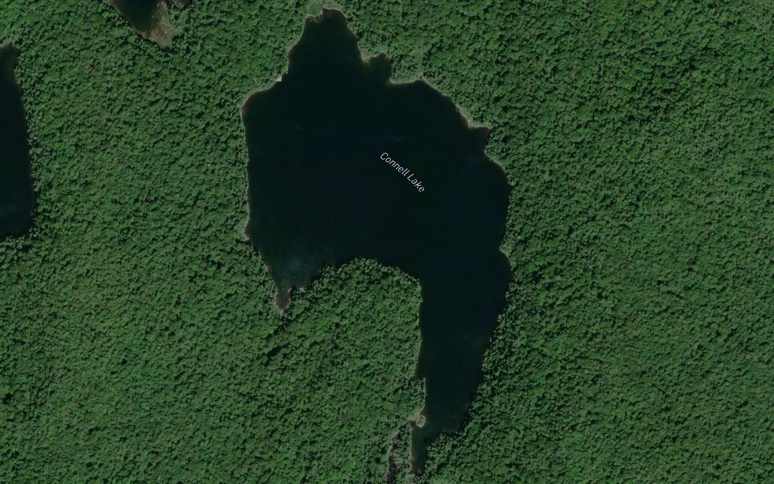 Connell Lake