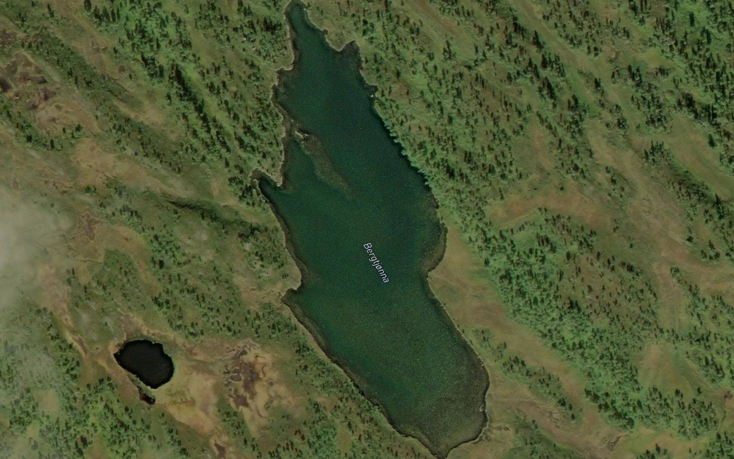 Bergtjorna