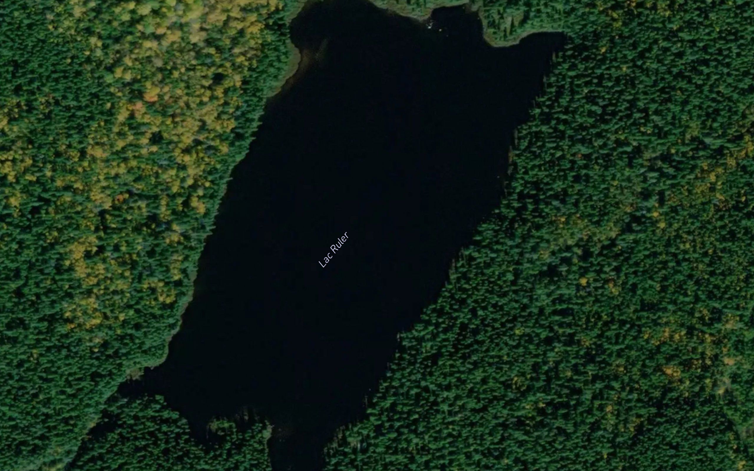 Lac Ruler