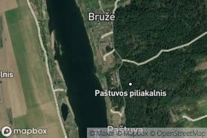 Palaidziupis