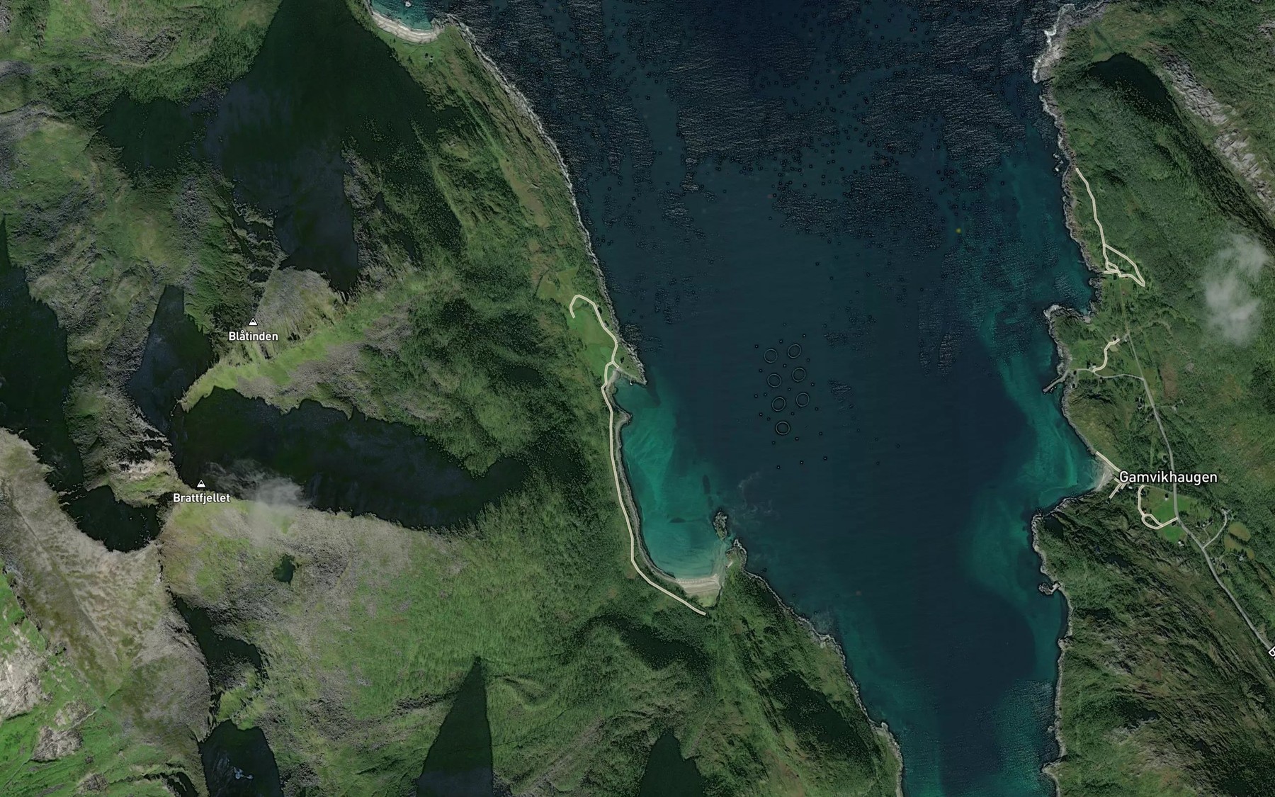 Satellite map of the Selvagen