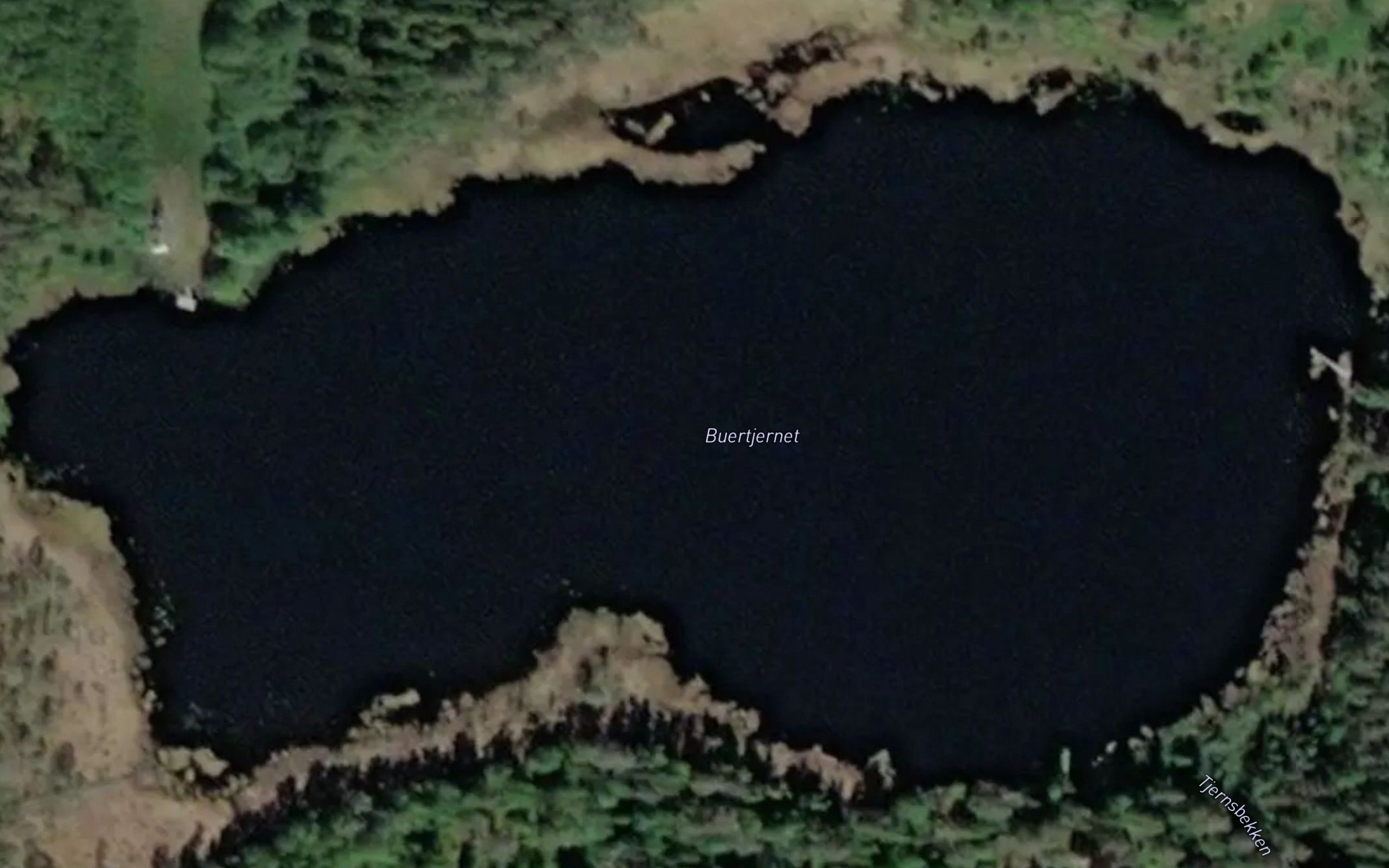 Buertjernet