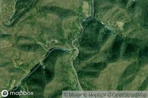 Mink Branch