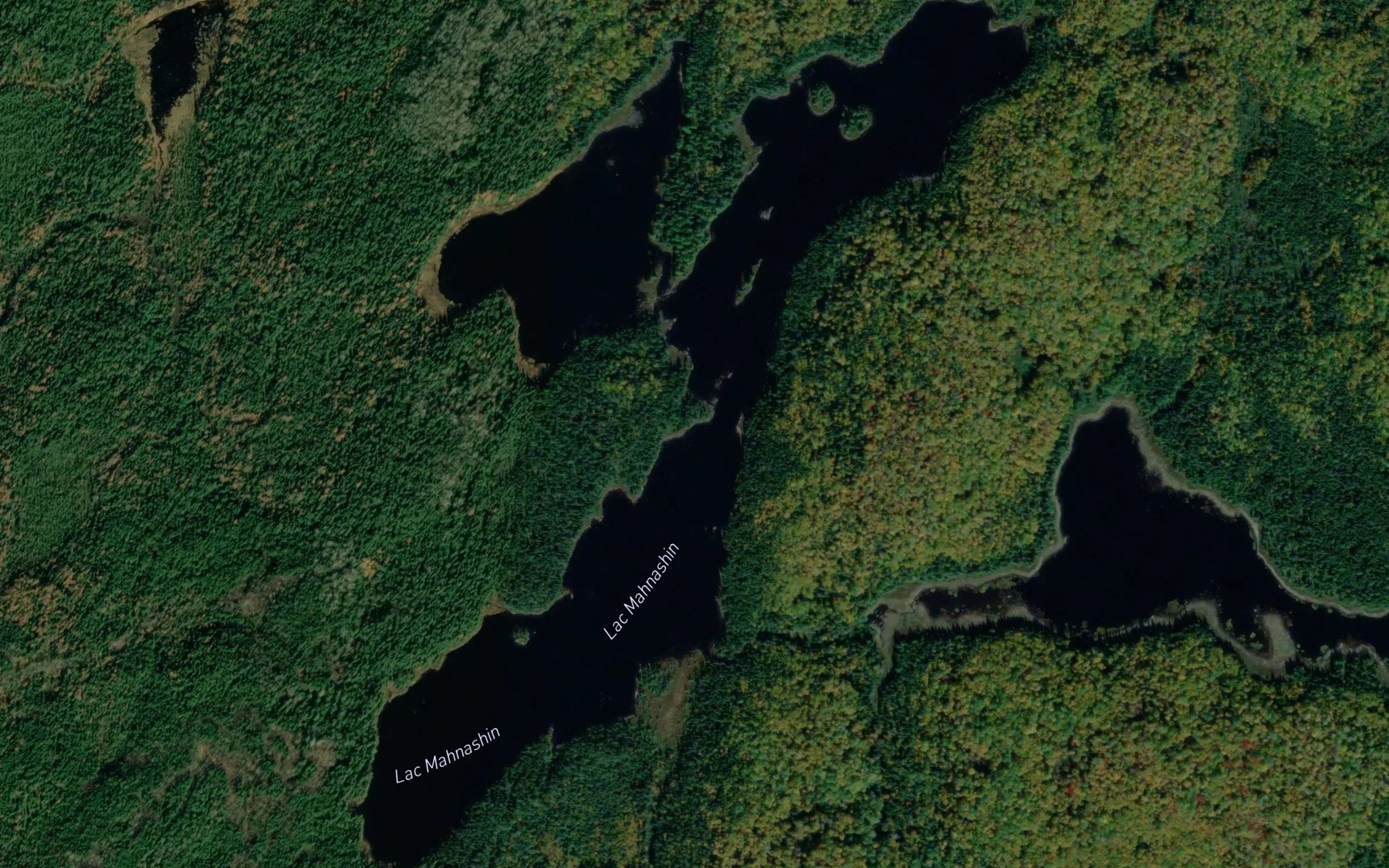 Satellite map of the Lac Mahnashin