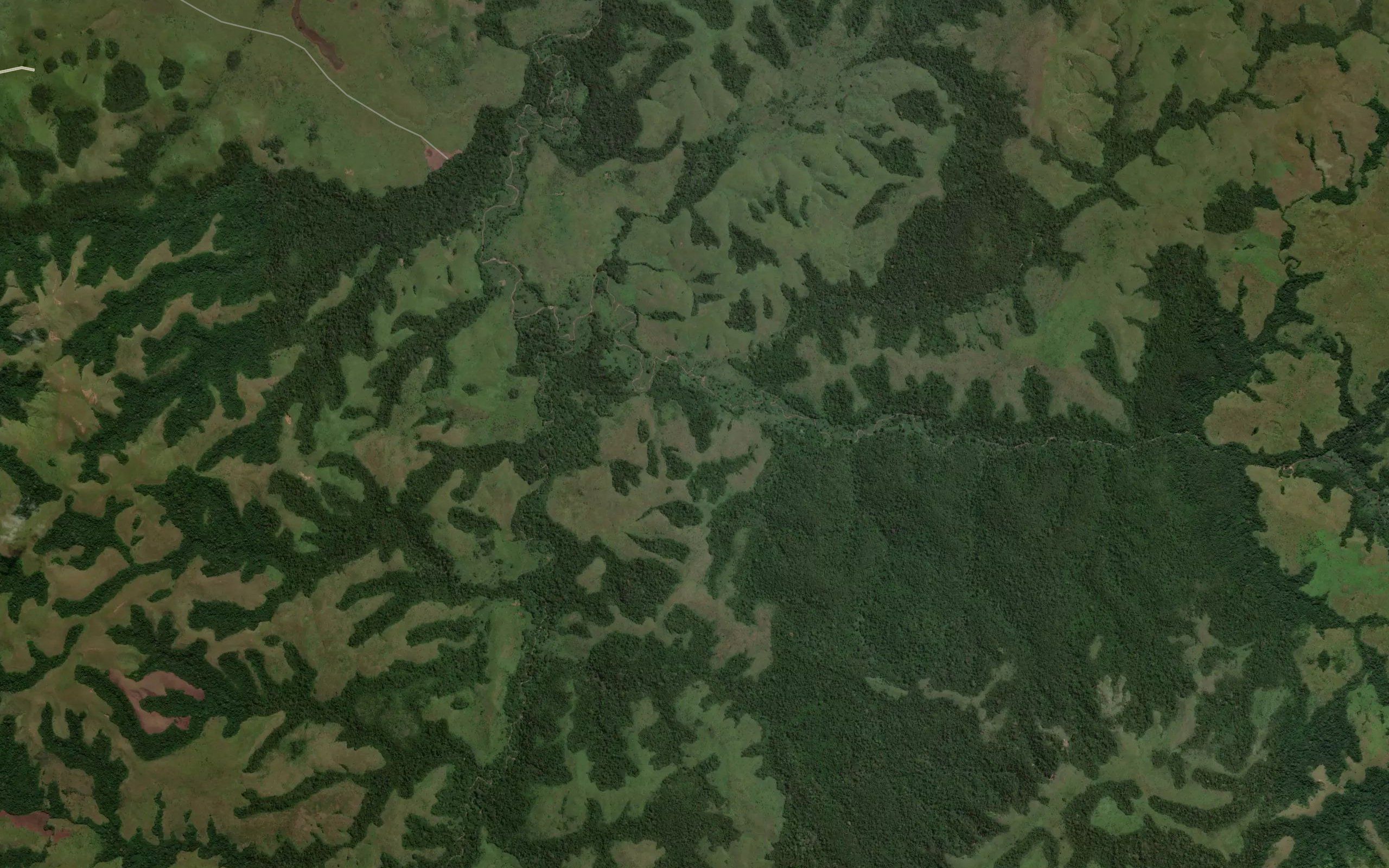 Zadi