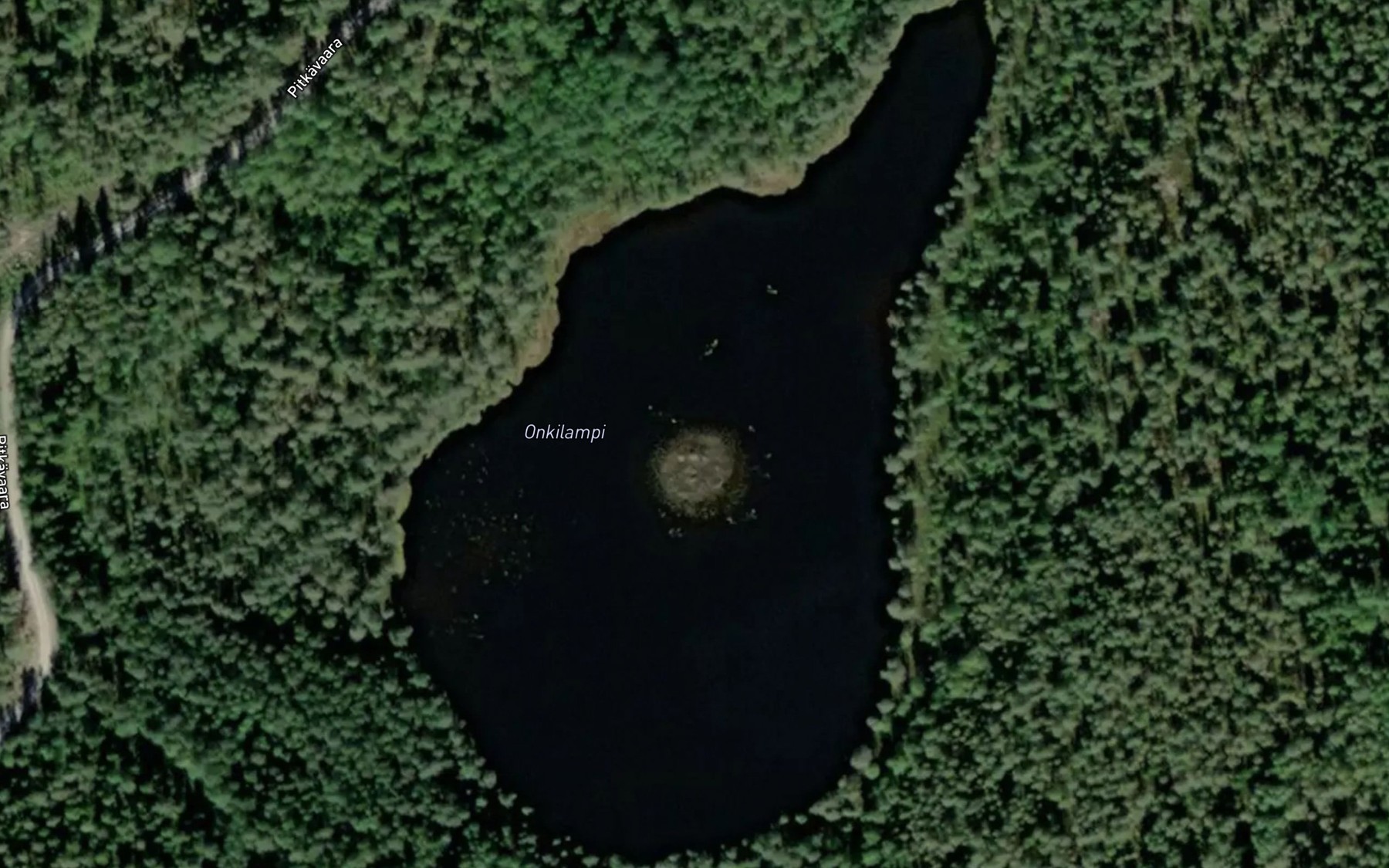 Satellite map of the Onkilampi
