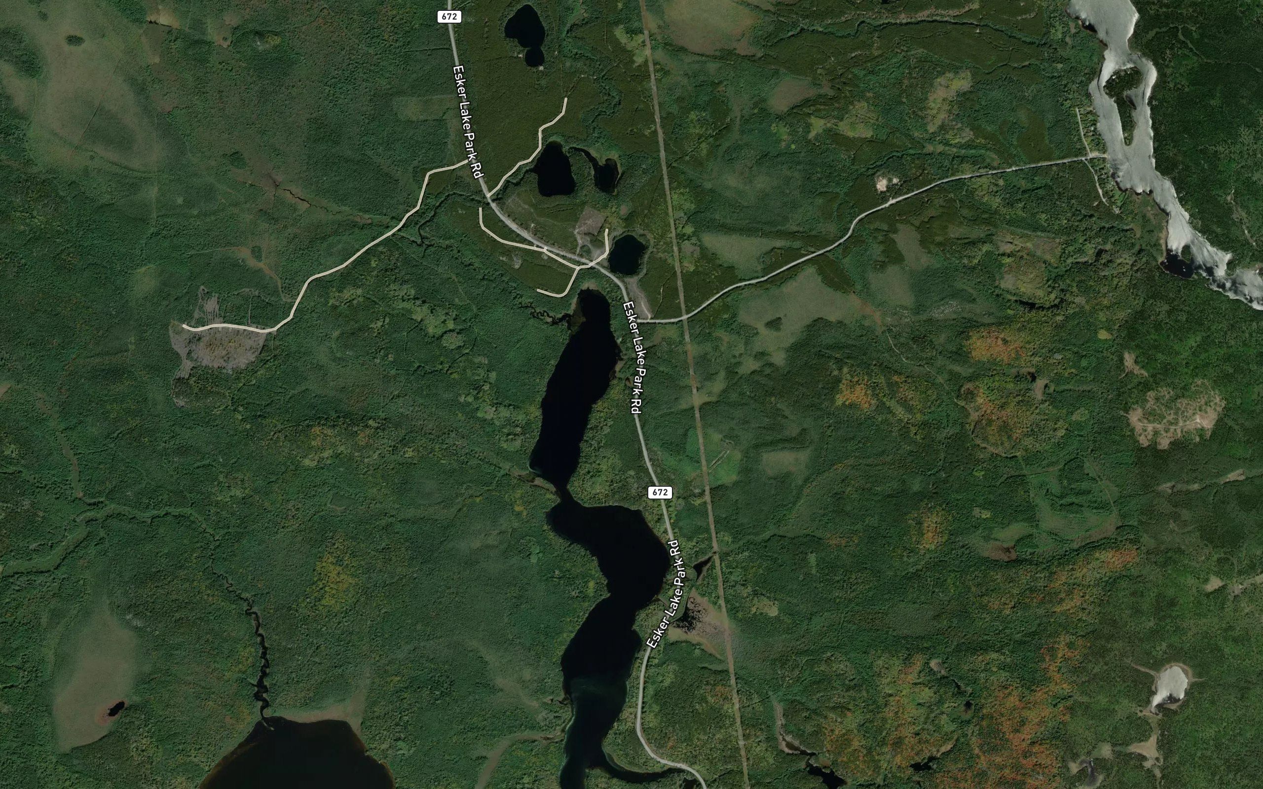 Alfie Creek