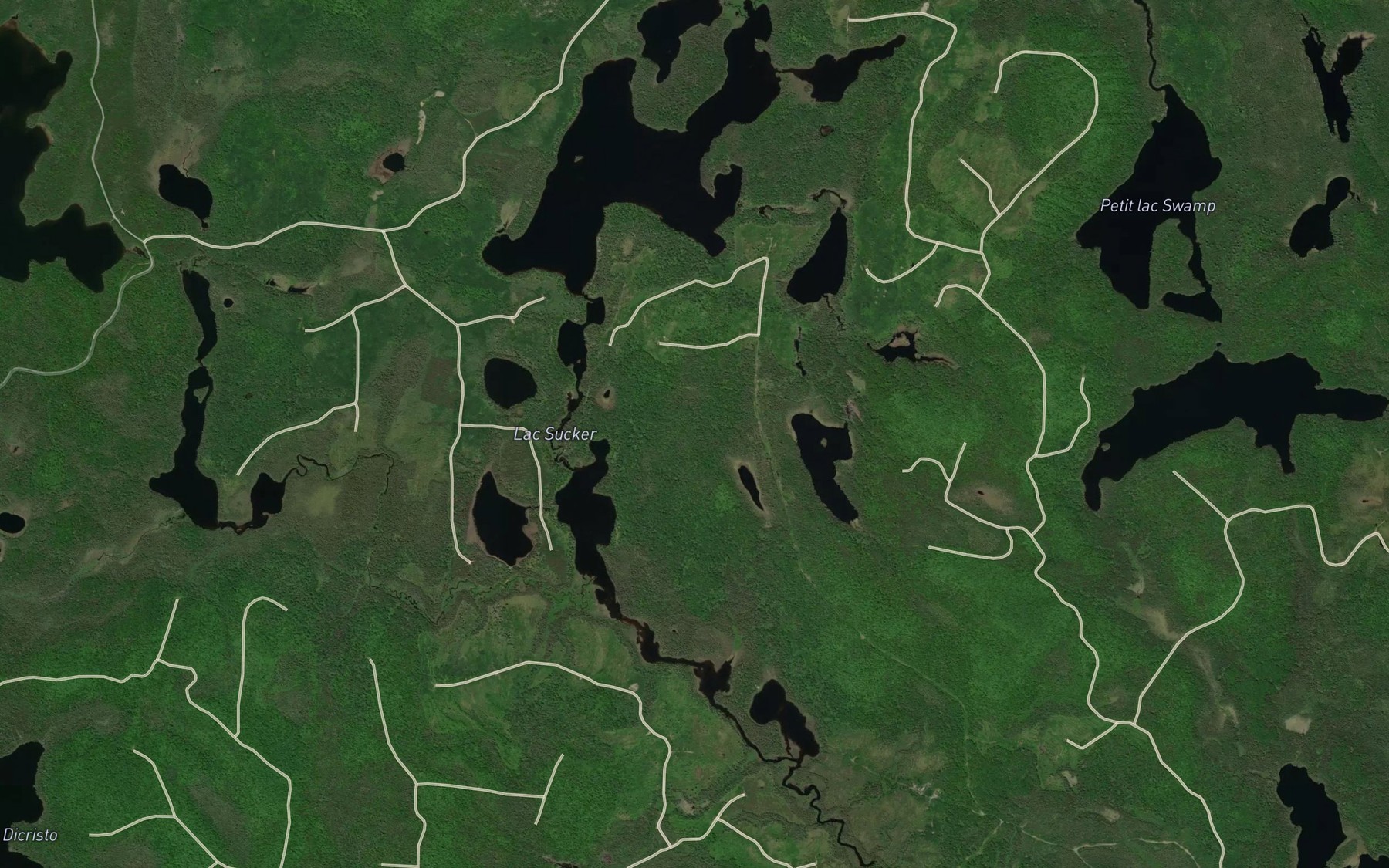Satellite map of the Lac Sucker