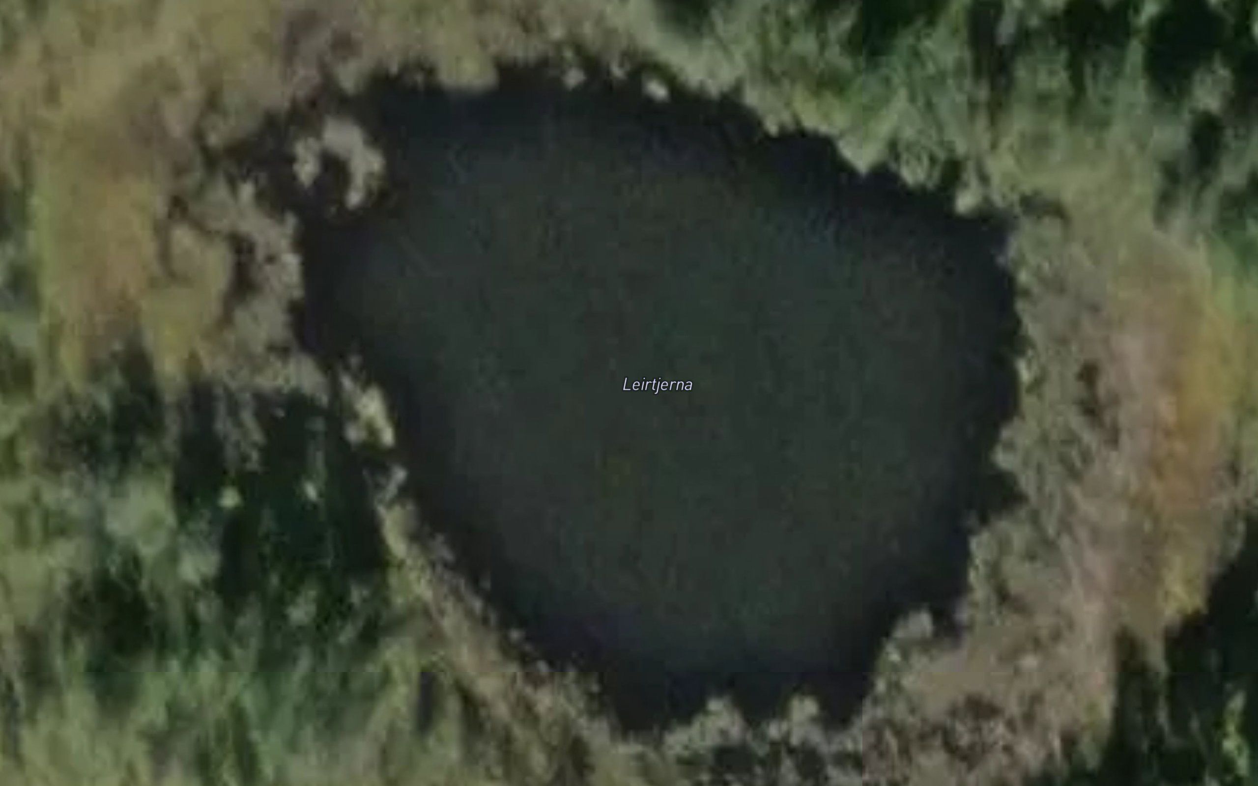 Leirtjerna