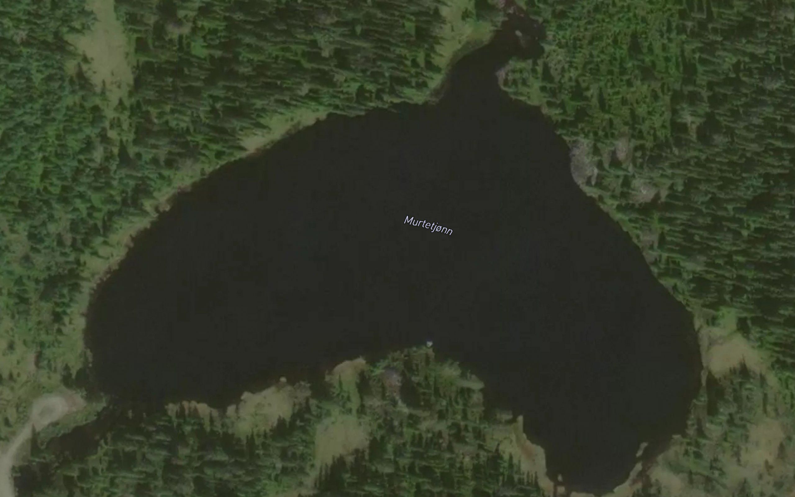 Murtetjorn