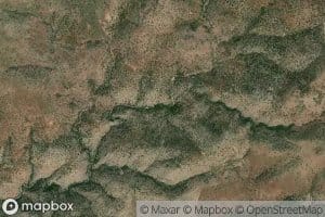 Upper Distill Spring