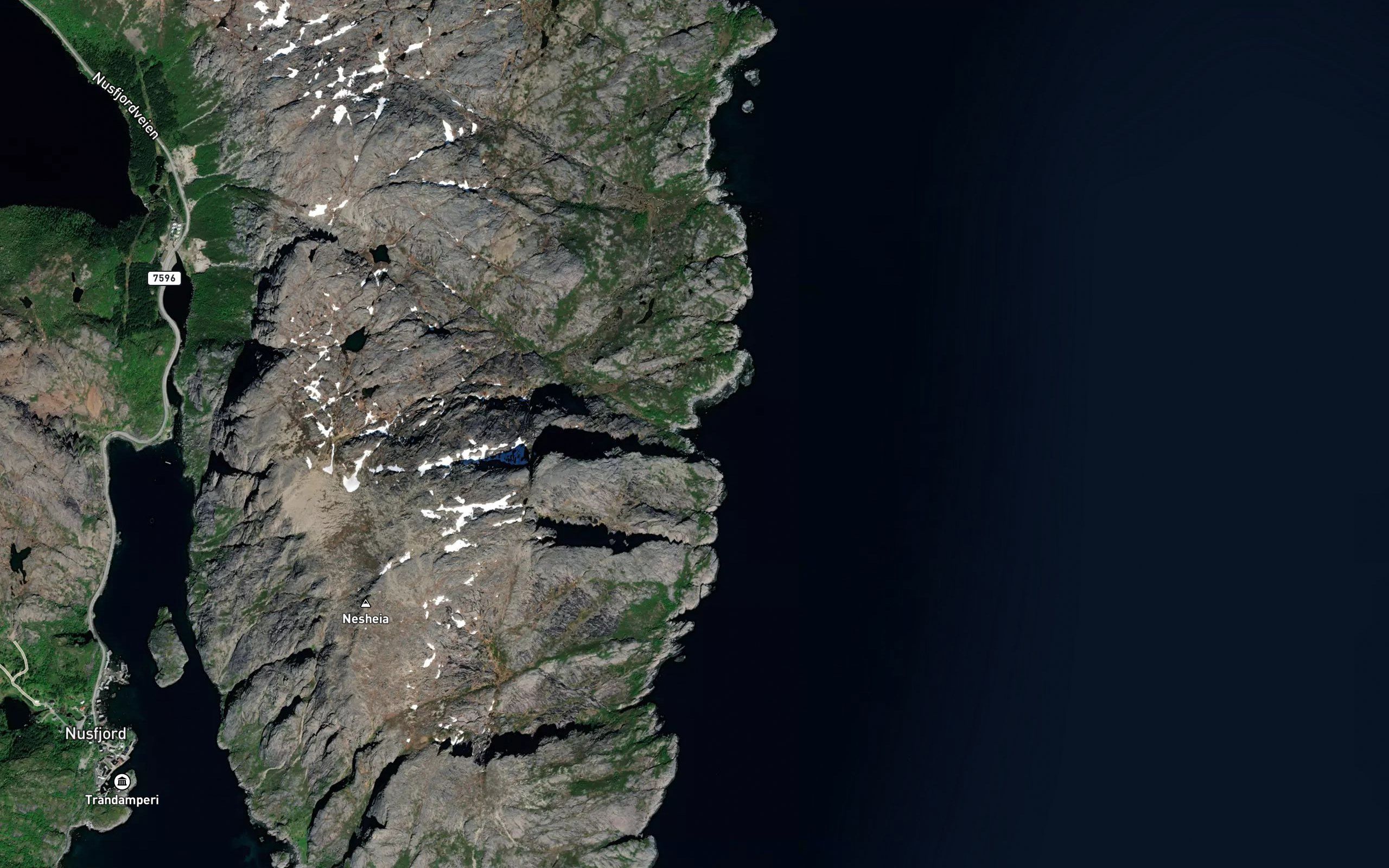 Rakvika