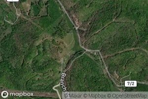 Left Prong New Creek