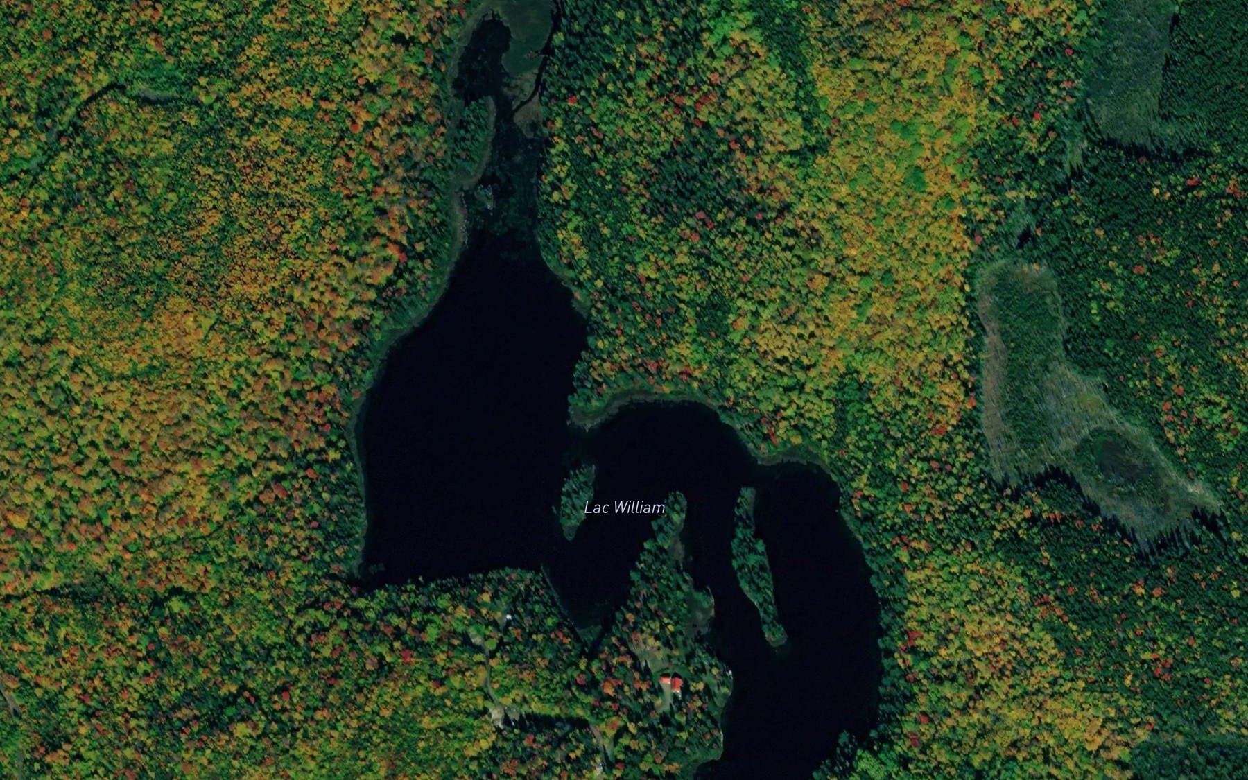 Satellite map of the Lac William