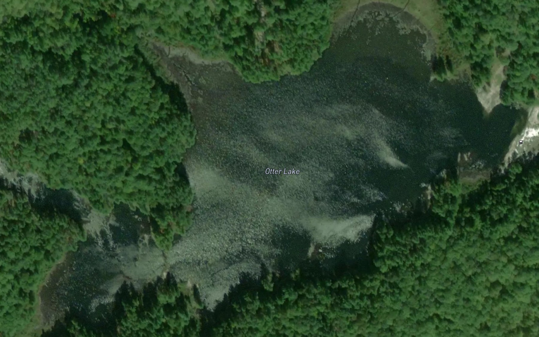 Satellite map of the Otter Lake