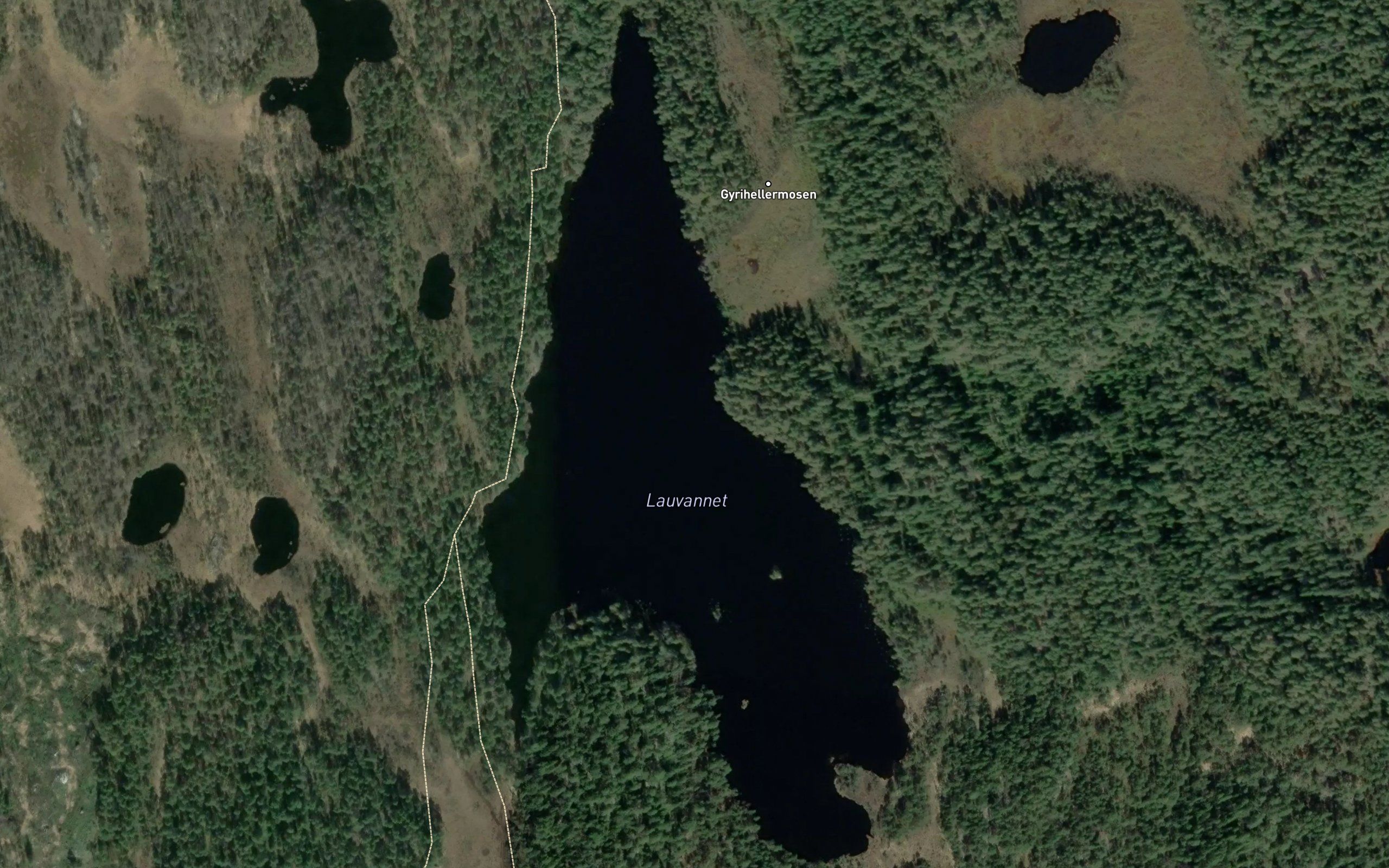 Lauvvatn