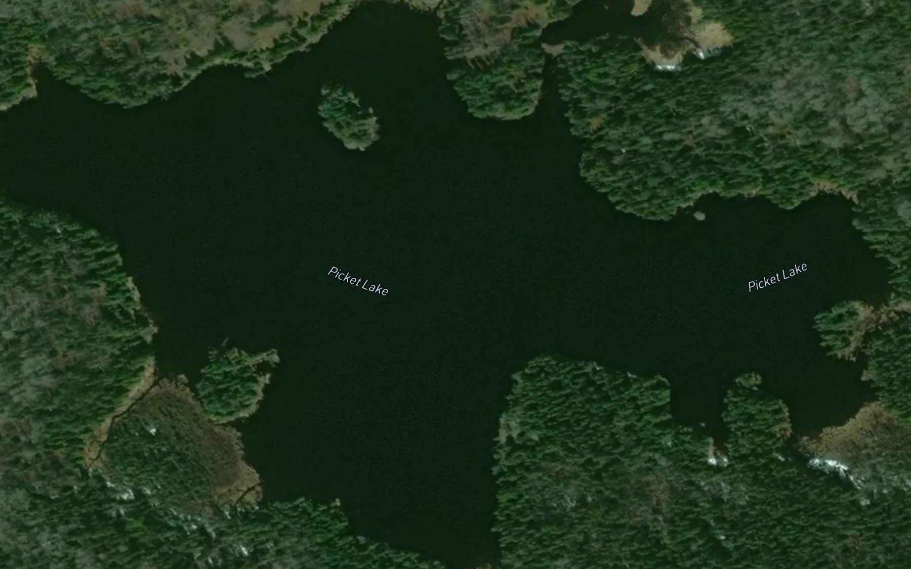 Satellite map of the Picket Lake