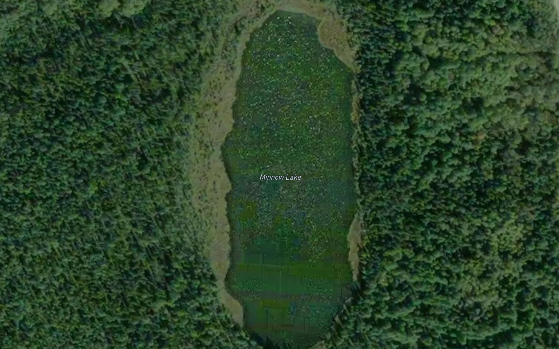 Satellite map of the Minnow Lake