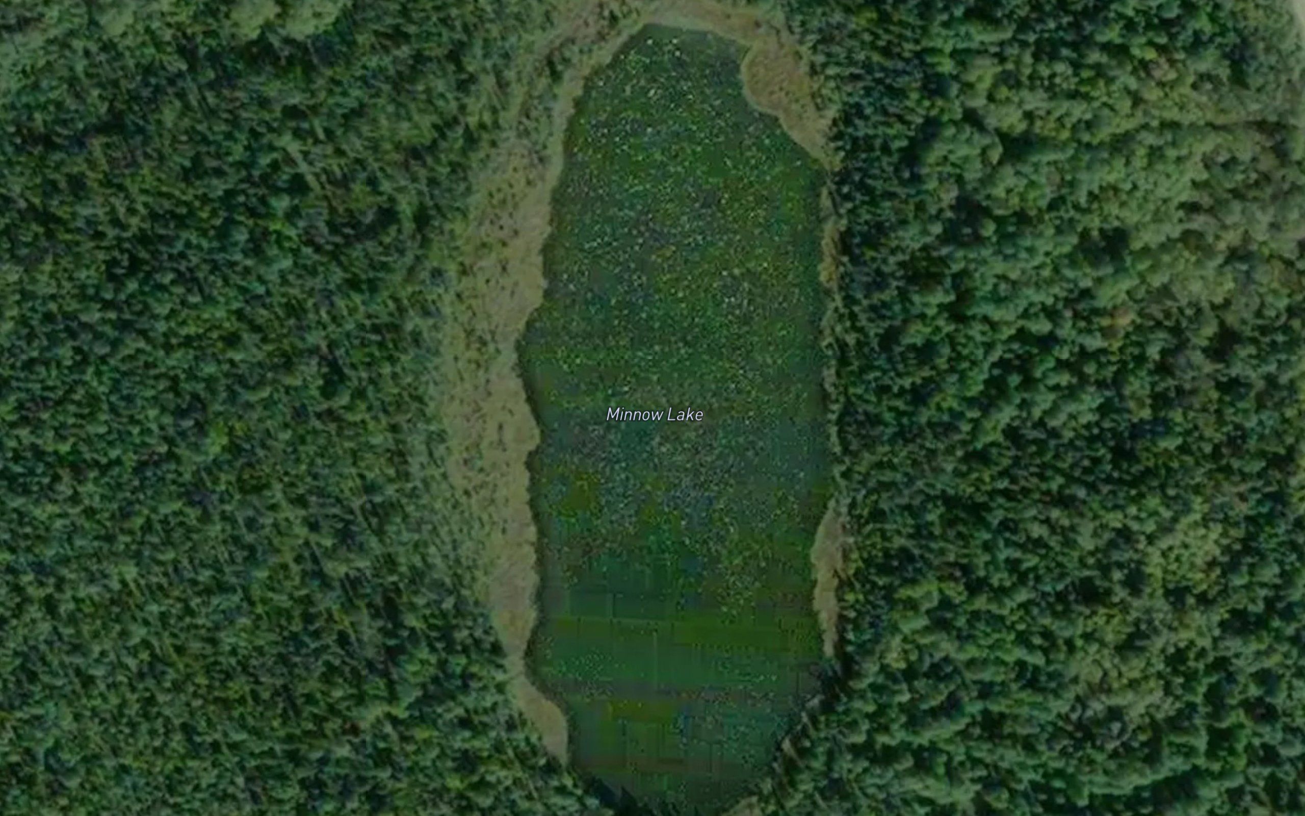 Minnow Lake