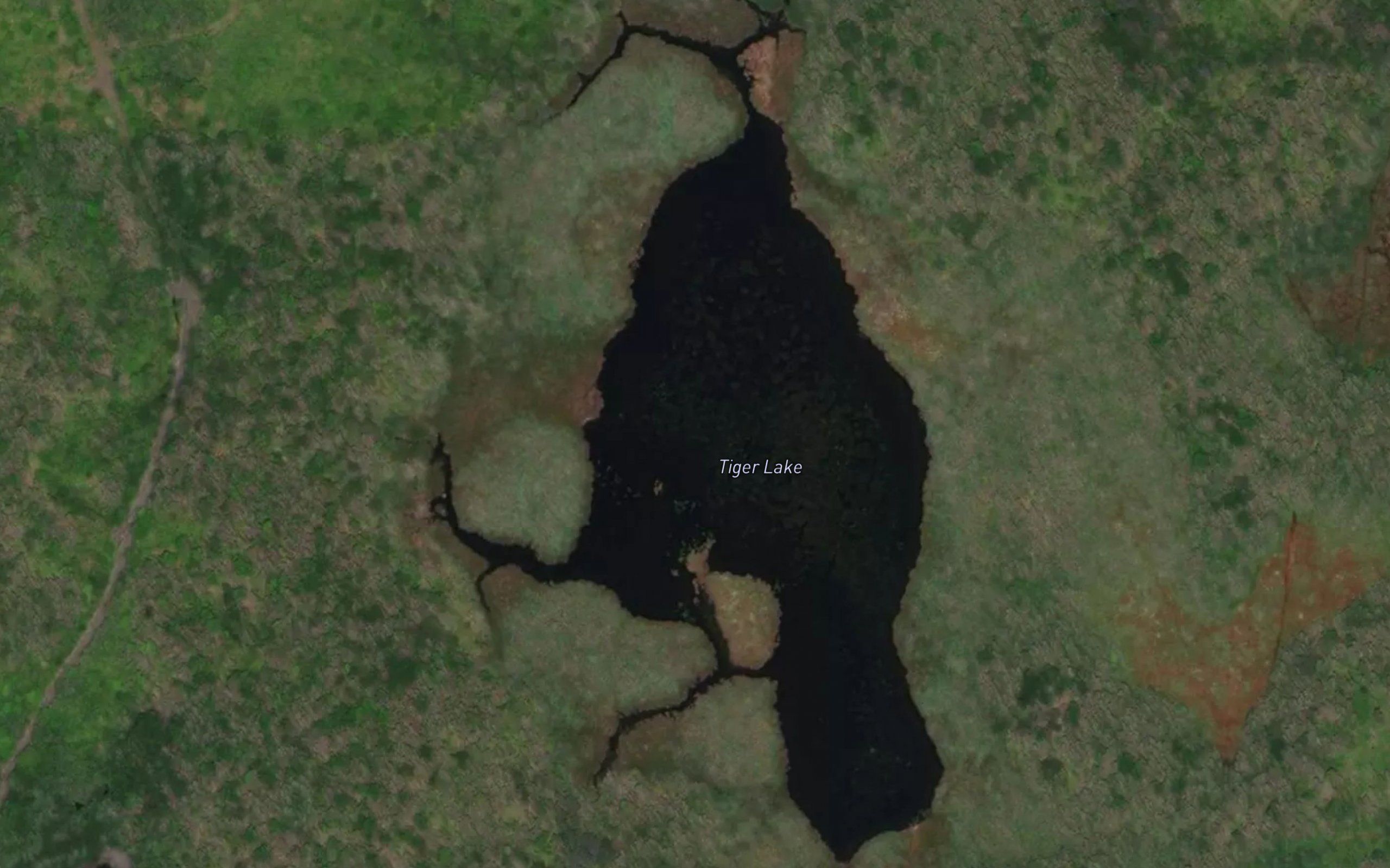 Tiger Lake