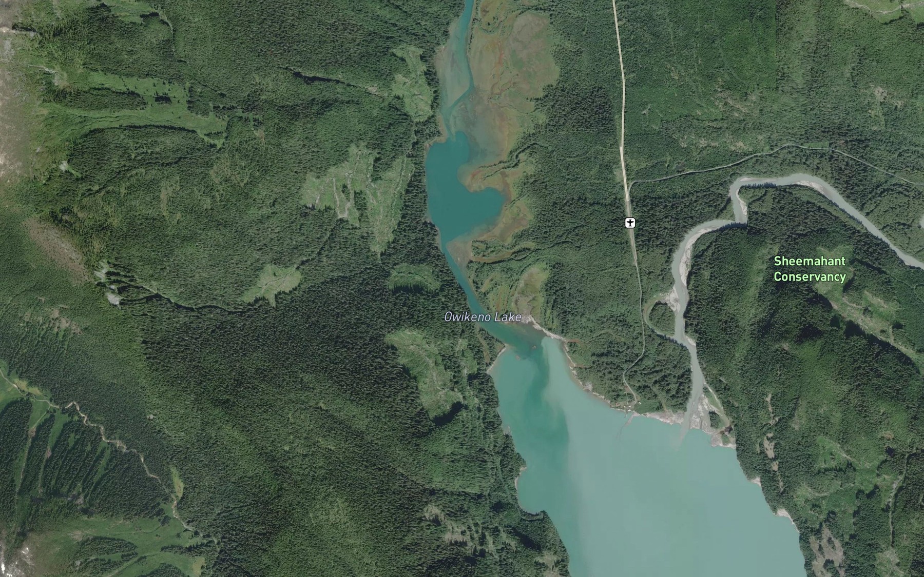 Satellite map of the Second Narrows