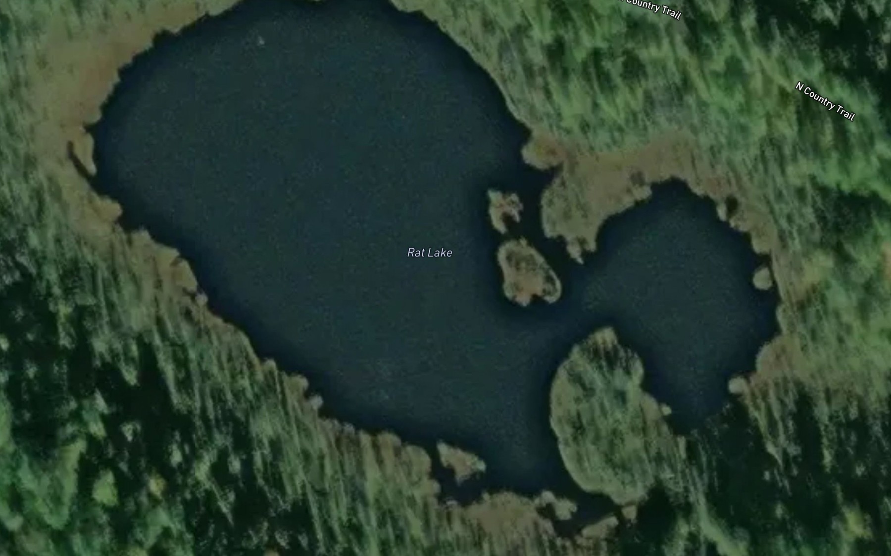 Satellite map of the Rat Lake