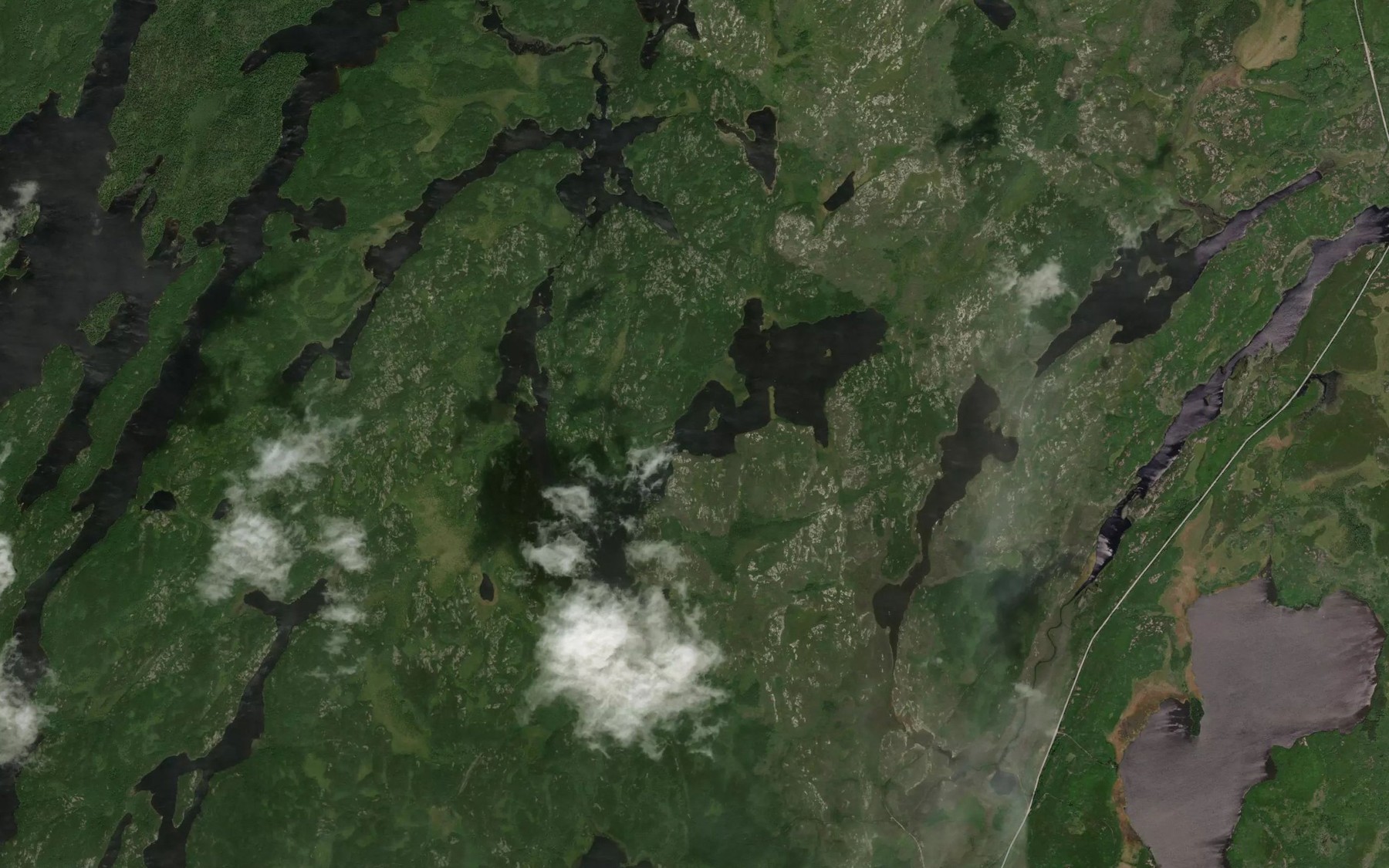 Satellite map of the Brett Lake