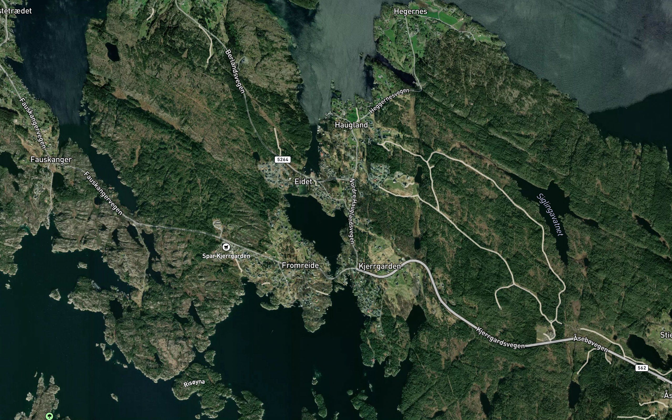 Traesvika