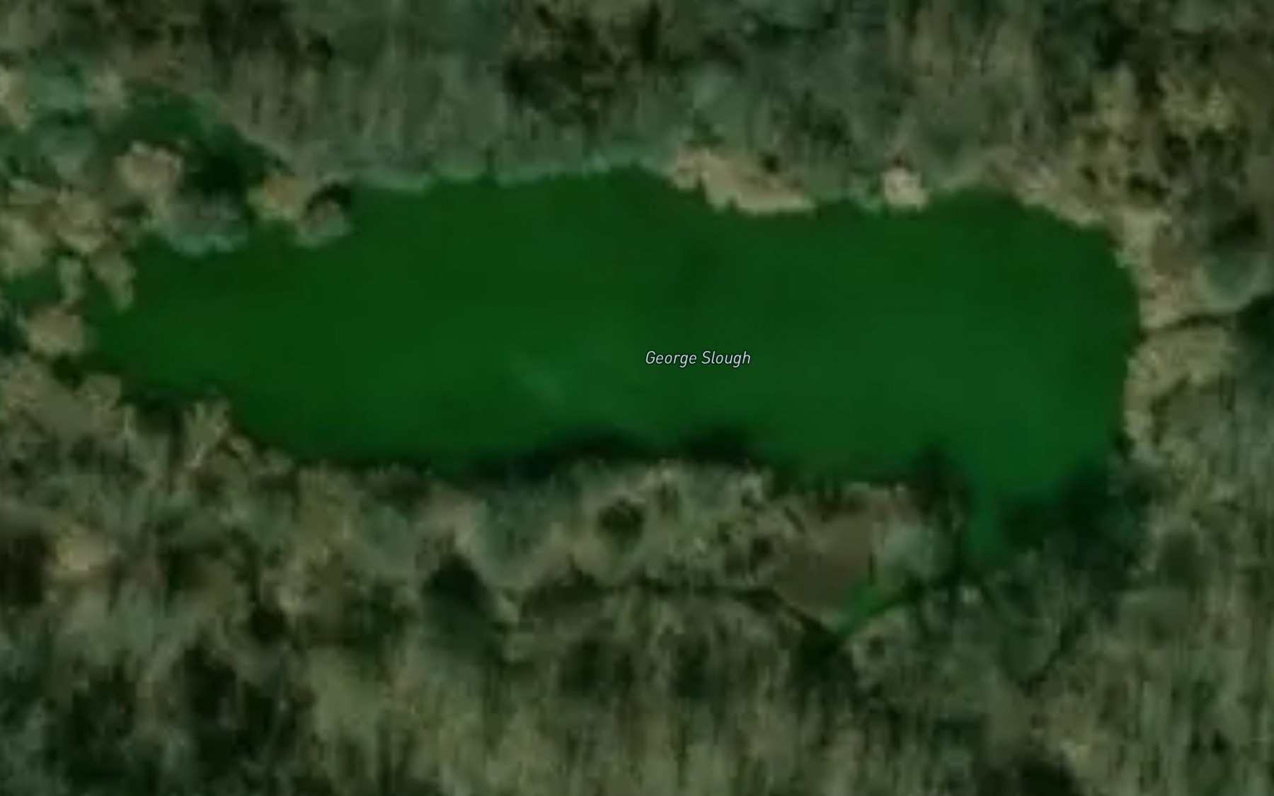 Satellite map of the George Slough