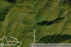 Chestnut Ridge Creek