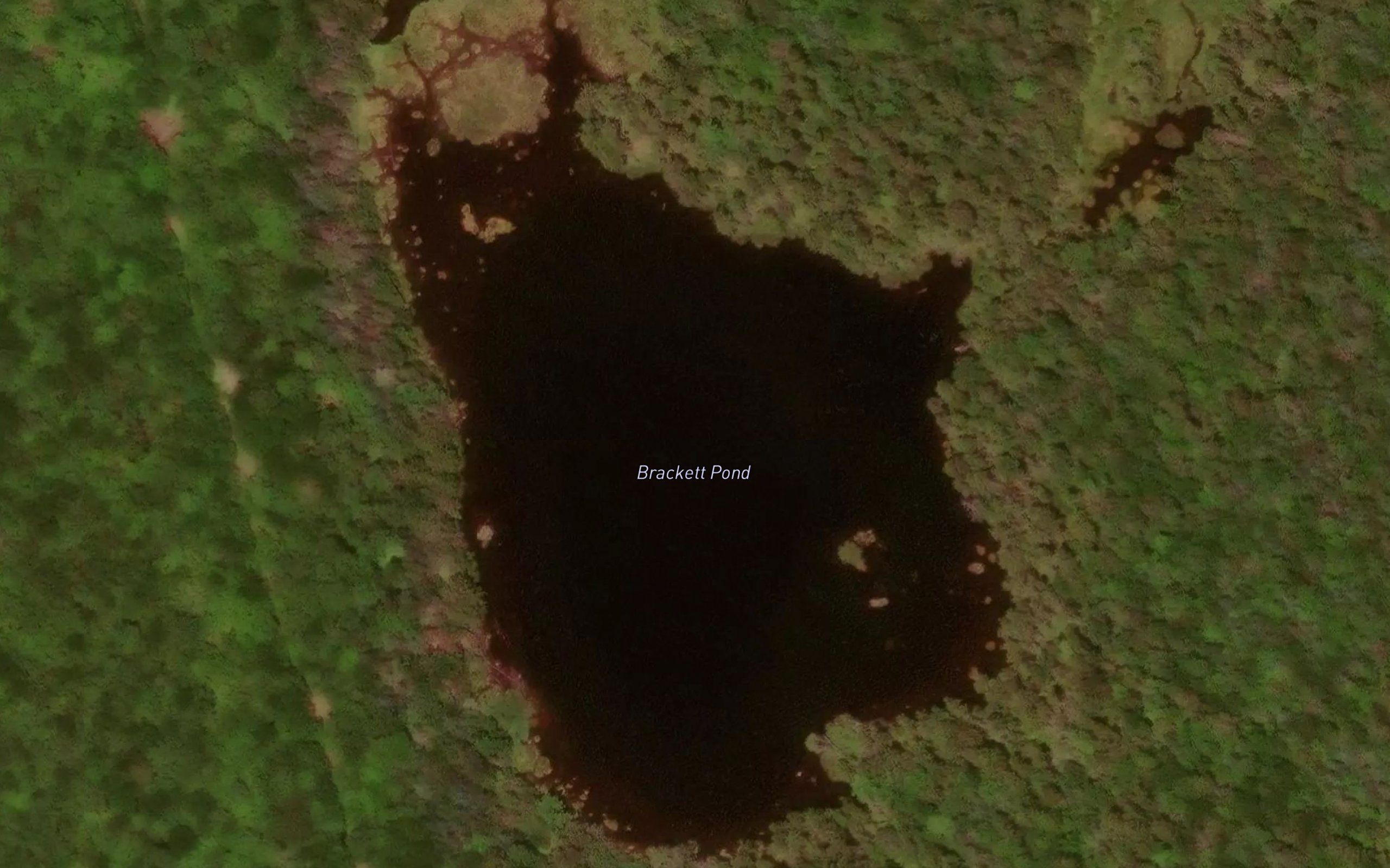 Brackett Pond