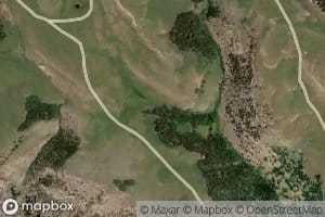 Charlie Brown Spring