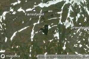Skatjorni